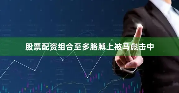 股票配资组合至多胳膊上被马彪击中