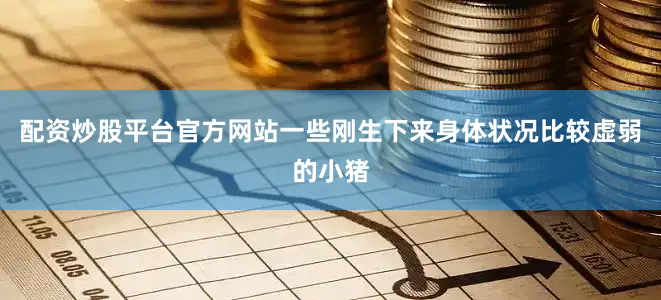 配资炒股平台官方网站一些刚生下来身体状况比较虚弱的小猪