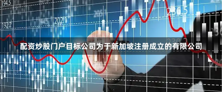 配资炒股门户目标公司为于新加坡注册成立的有限公司